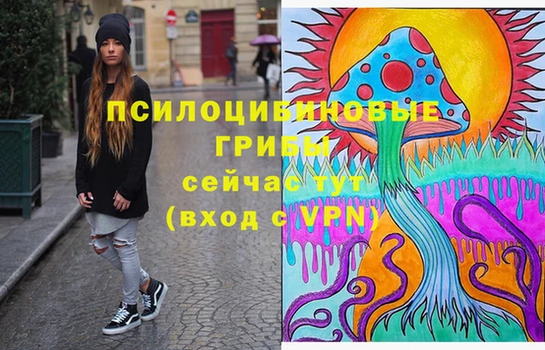 винт Алексин